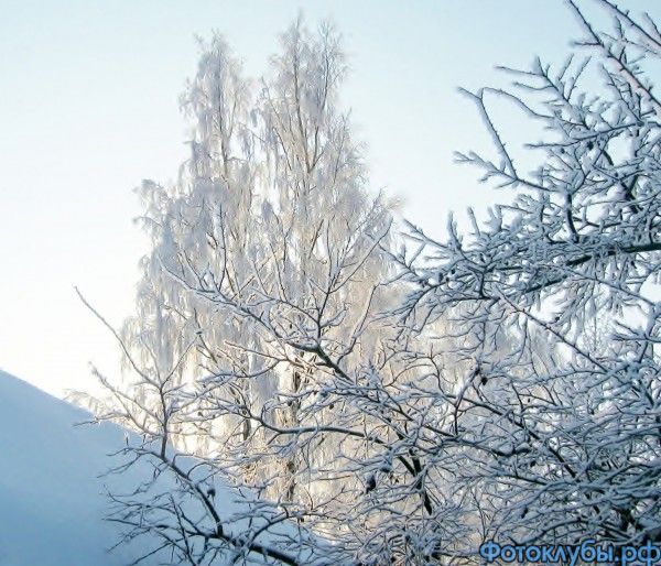 Зимнее утро
