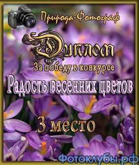 Огненные чаши