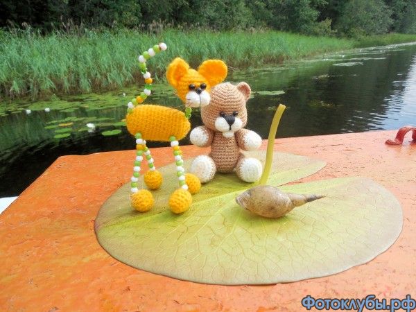 Двое в лодке, не считая улитки
