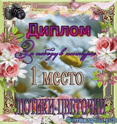 Роза в бриллиантах