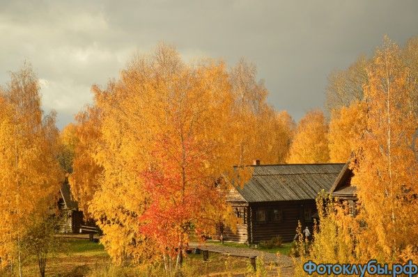 ОСЕНЬ ЗОЛОТАЯ