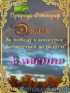 Летняя красавица