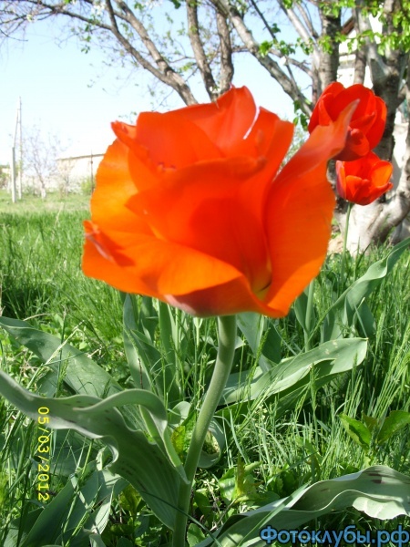 SS851689.JPG