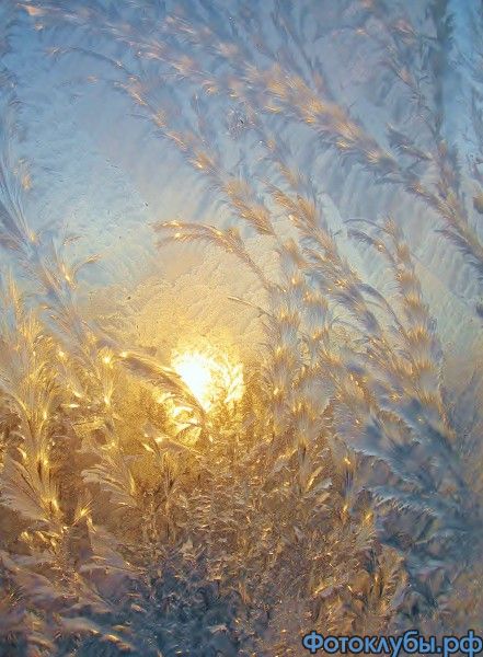 Морозное утро
