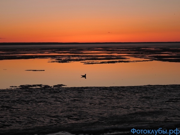 DSCN9295.JPG