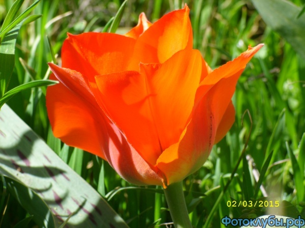 SS852236.JPG