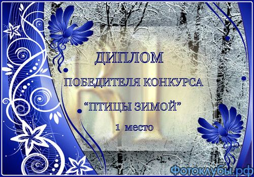 Мгновение полета
