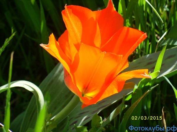 SS852230.JPG