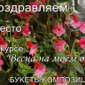 Апрельский Фокус Покус