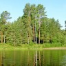 Зелёное отражение
