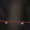 DSC_9066-1.jpg