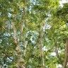 DSC_0791.JPG