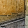 IMG_2372.JPG