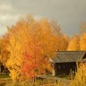 ОСЕНЬ