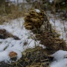 DSC_9085.jpg