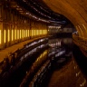 CIMG5232-1.jpg