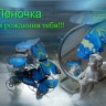 бабочки