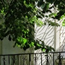 IMG_3648.JPG