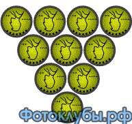 Головоломки с монетами