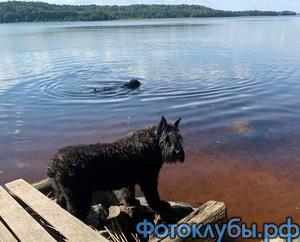 ИСКУПАТЬСЯ ЧТО ЛИ