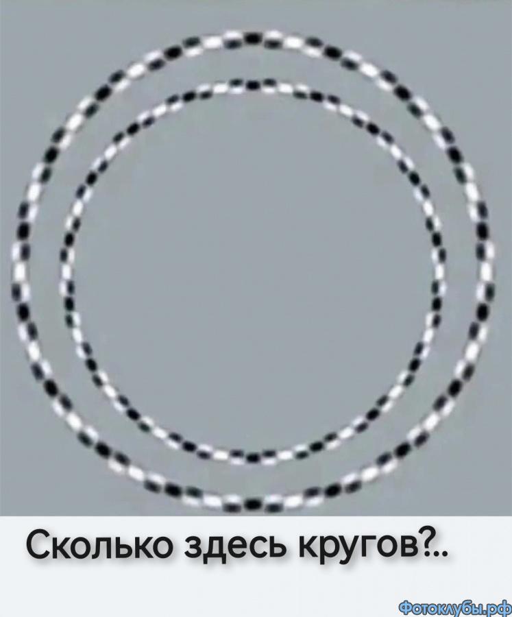 Сколько их тут?..