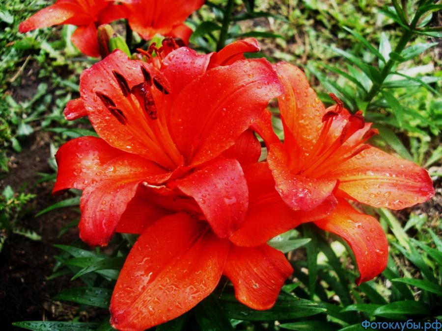 СИМВОЛ ЗАГАДКИ