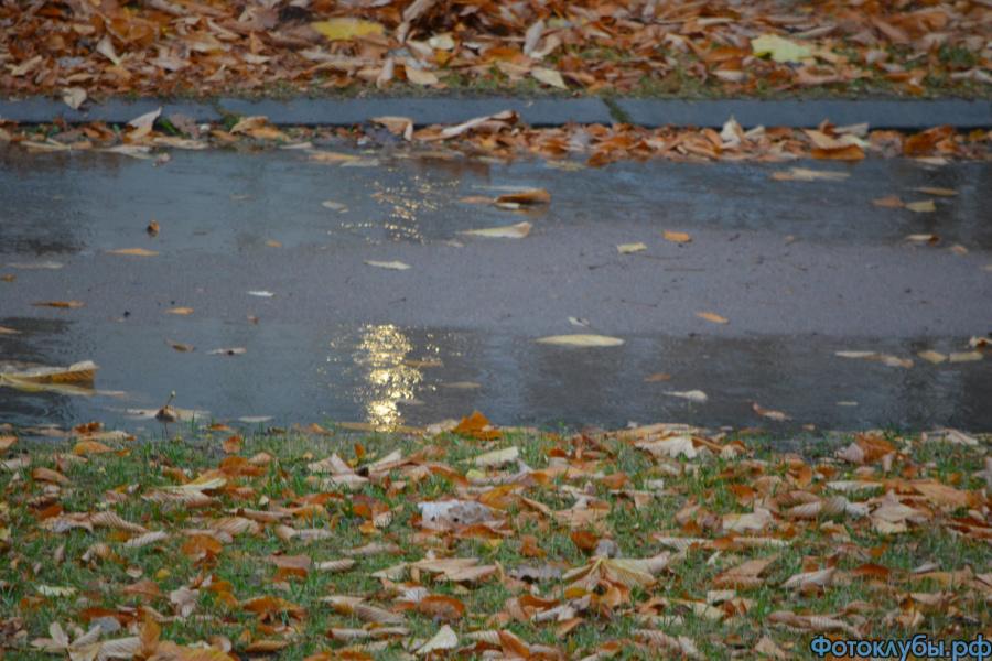 дождь в городе