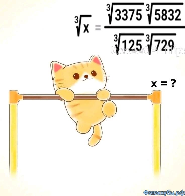 Любите котиков ?    Х = ?