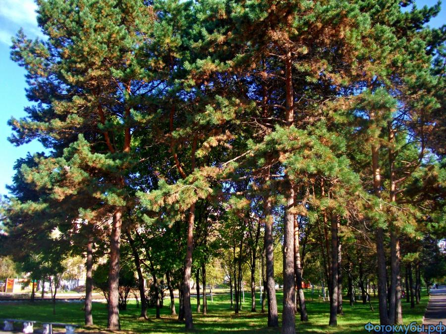 Посвящение Хабаровску