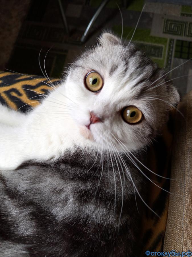 Марсику годик!