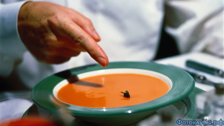 Головоломки