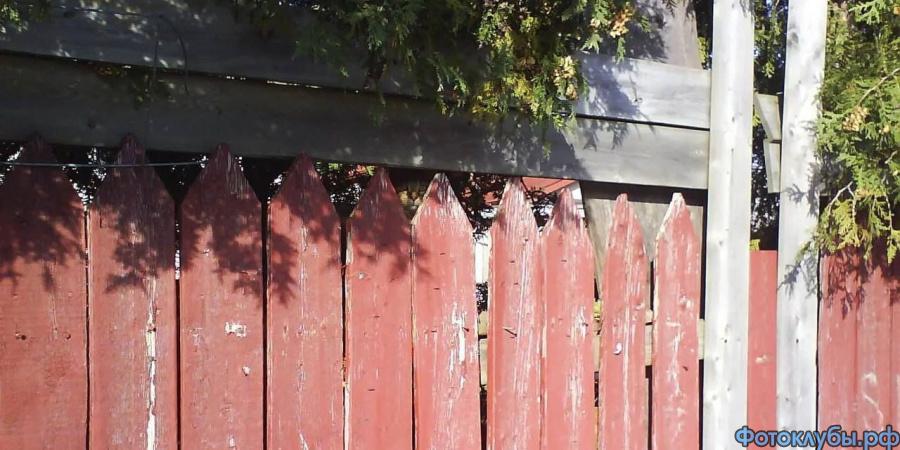 Найдите кота