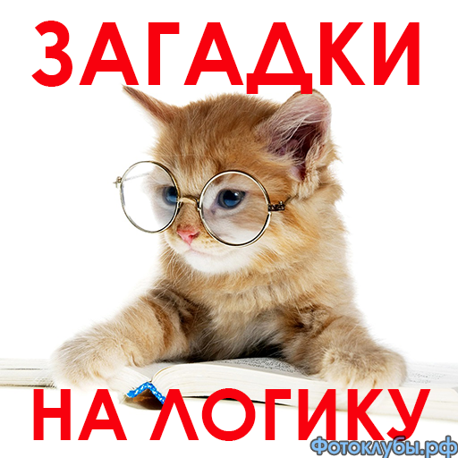 А здесь ЧТО ЛИШНЕЕ ??